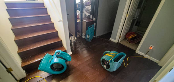 Best Sewage cleanup and water damage restoration  in New Fairview, TX