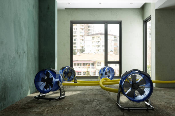 Best Fire Damage Restoration  in New Fairview, TX